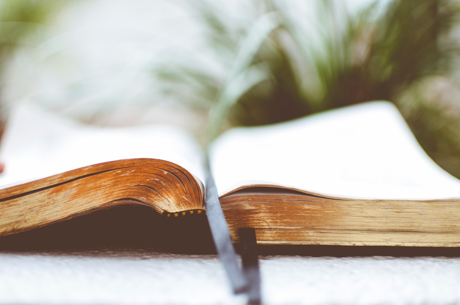 Voices Of Faith Shaping Our Collective Future